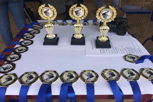 Torneio2017